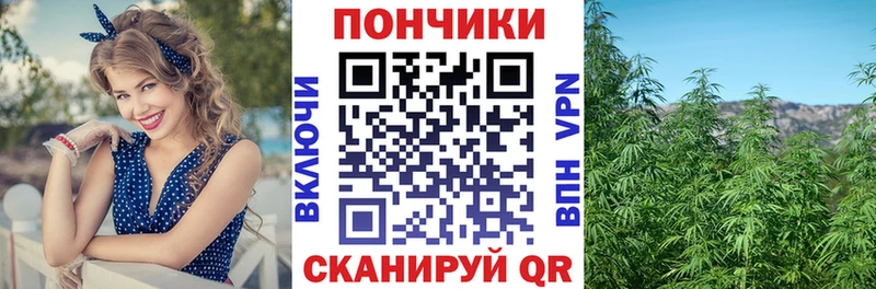 Бошки марихуана план  Купить  Новосибирск 